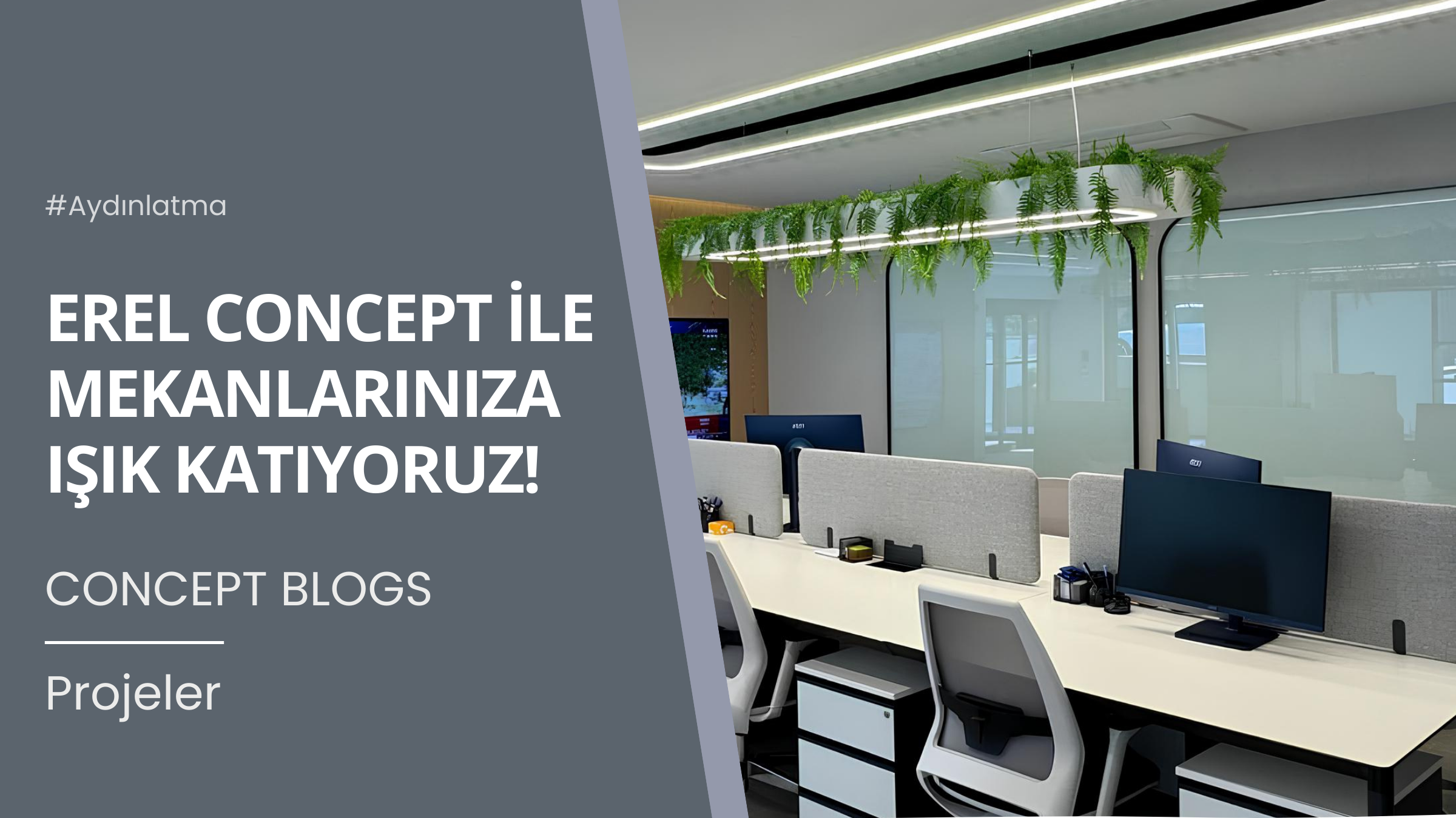 Erel Concept ile Mekanlarınıza Işık Katıyoruz!