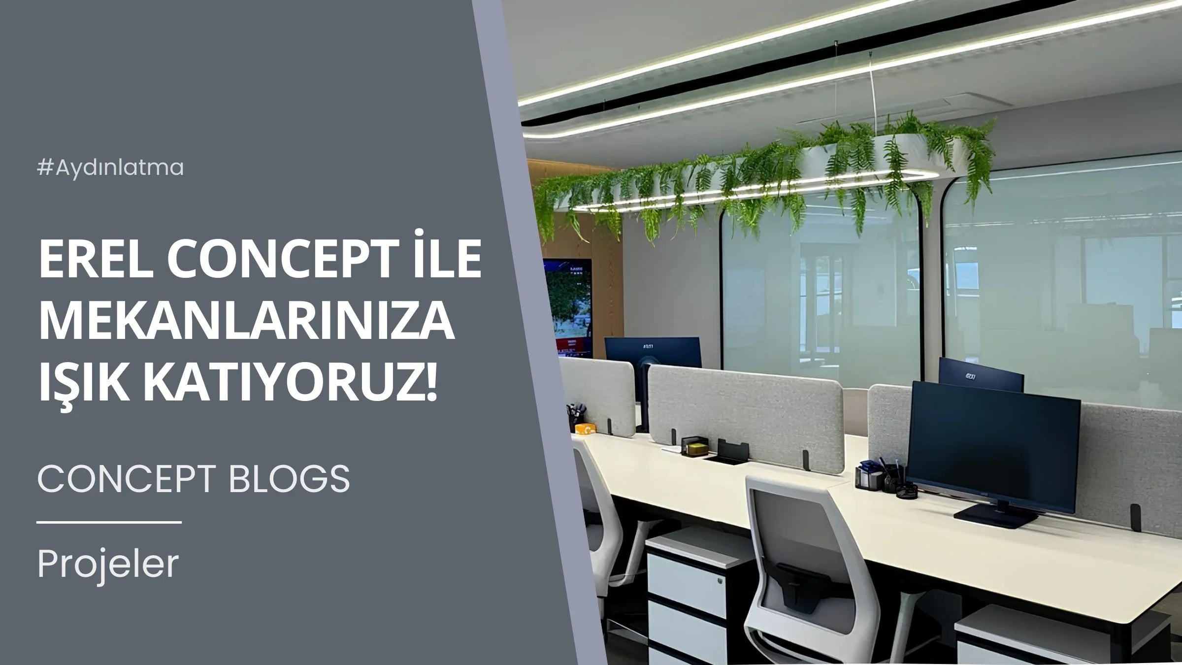 Erel Concept ile Mekanlarınıza Işık Katıyoruz!