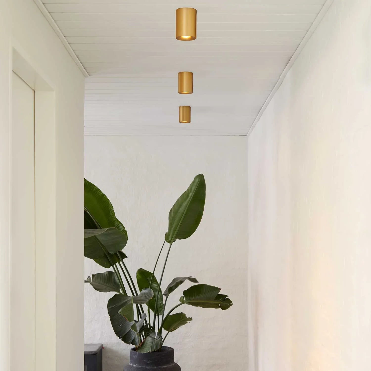 Qavun Brass Star Spot Light