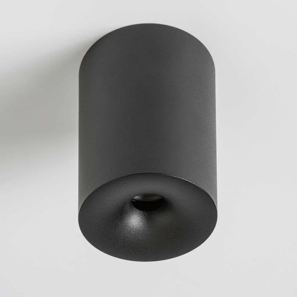 Qavun Black Star Spot Light