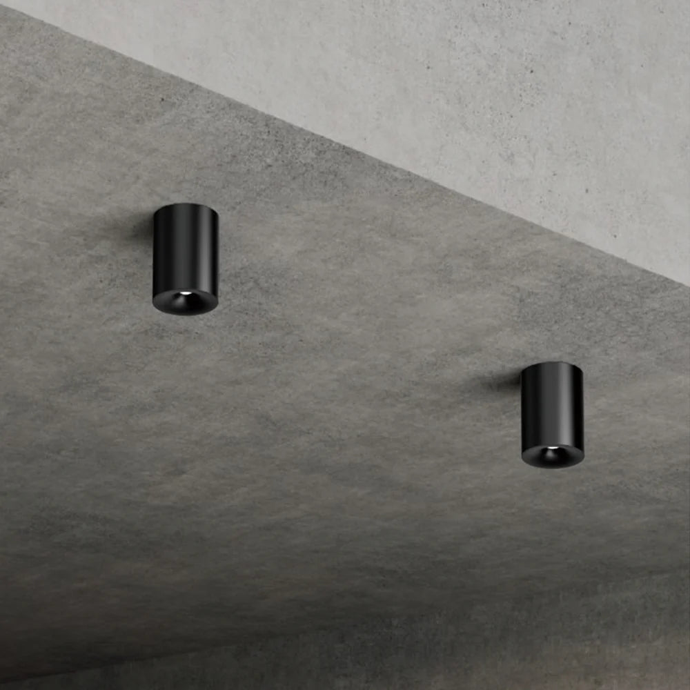 Qavun Black Star Spot Light