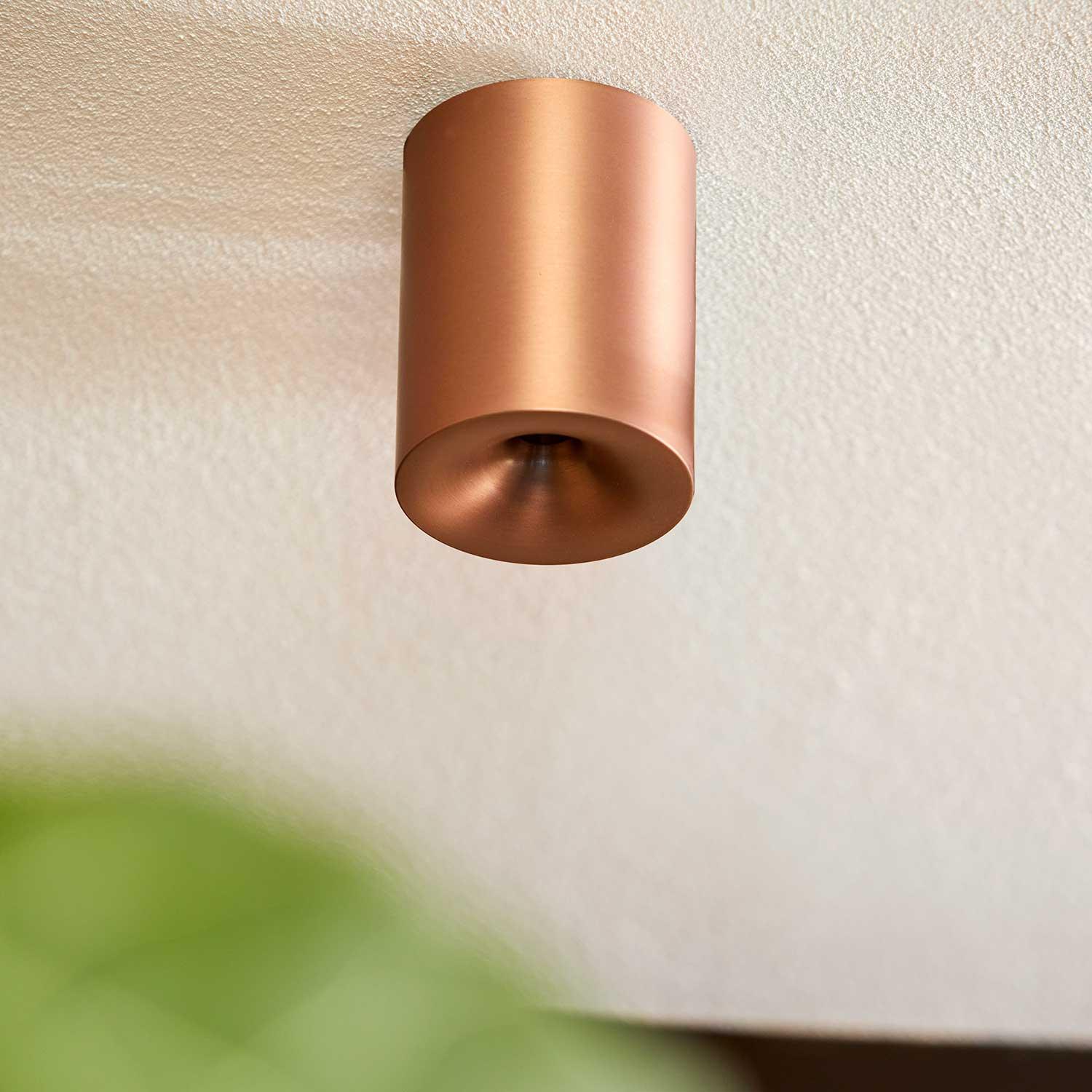 Qavun Bronze Star Spot Light