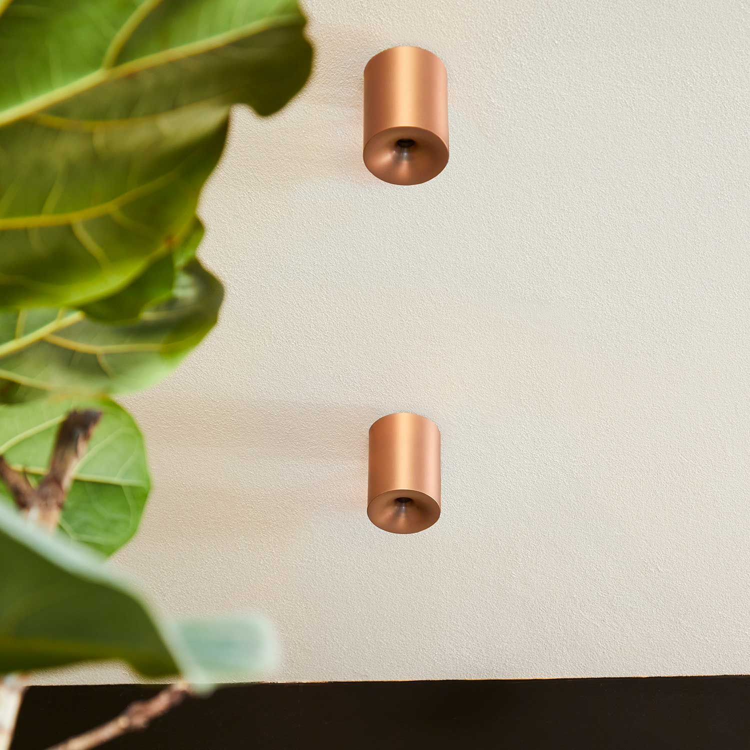 Qavun Bronze Star Spot Light