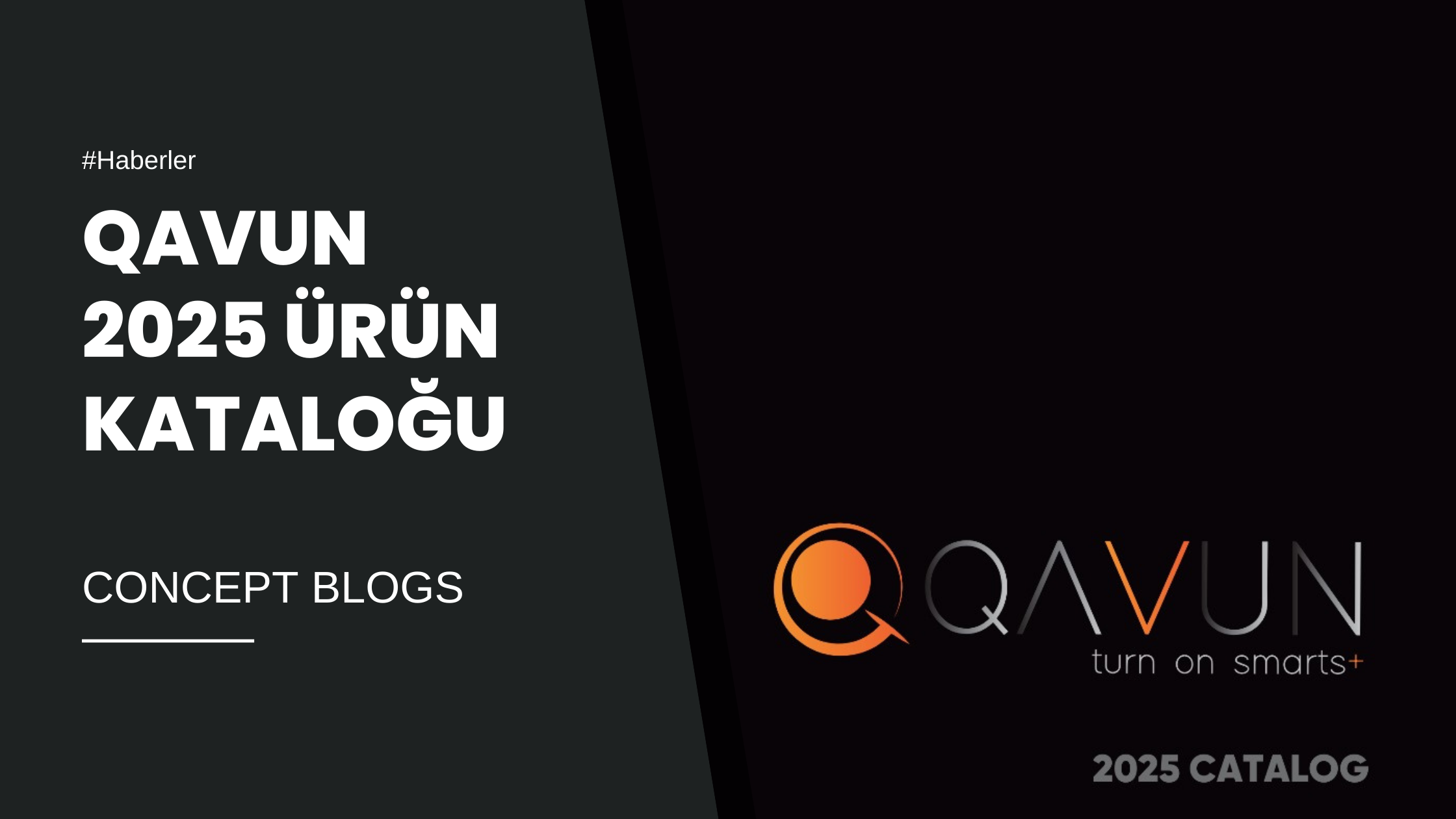 Qavun 2025 Katalog