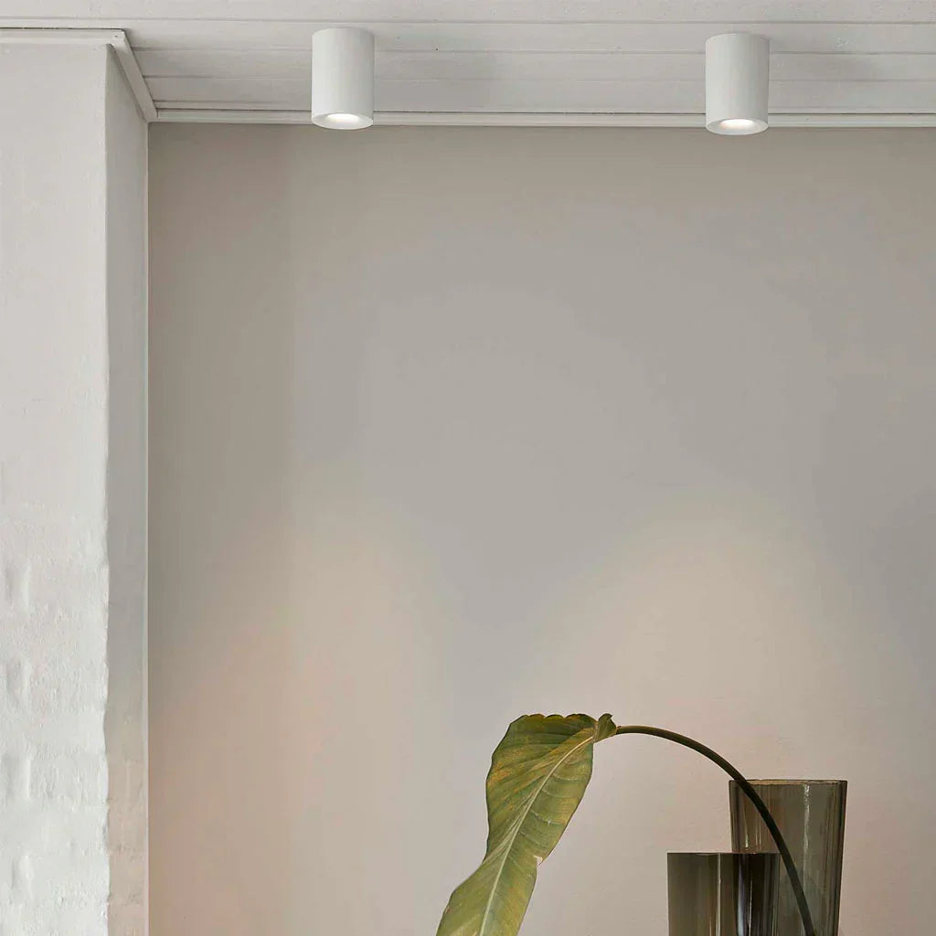 Qavun White Star Spot Light